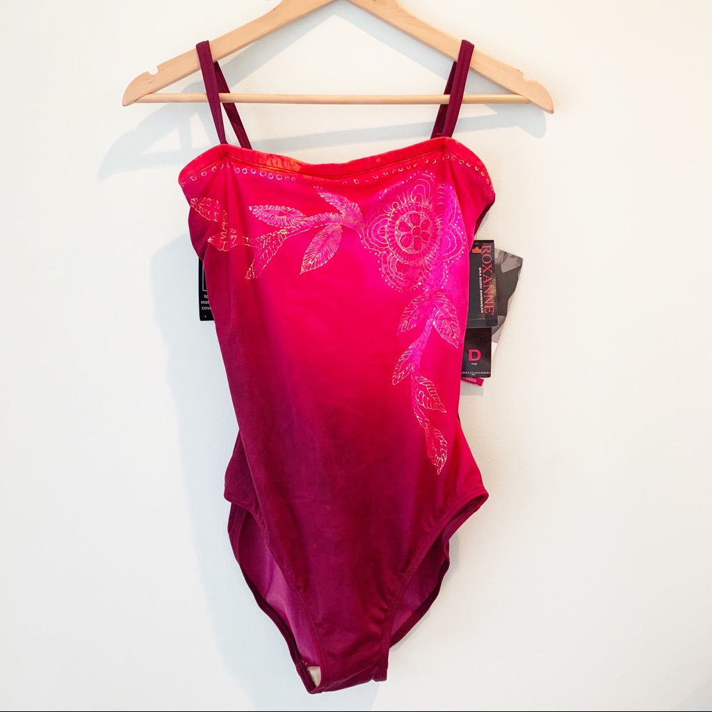 Nwt Roxanne Swimwear Bra Sized Pink Ombre Swimsuit 14 D Cup
